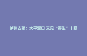 泸州古蔺：太平渡口 又见“春生”丨薪火相传 我们的长征故事
