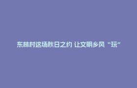 东林村这场秋日之约 让文明乡风“玩”进村民心里