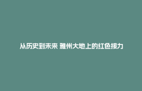 从历史到未来 雅州大地上的红色接力