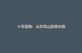 十年回响：从井冈山到清华园