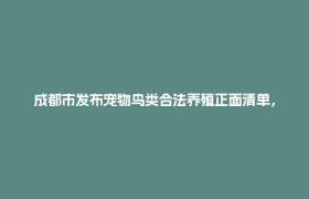 成都市发布宠物鸟类合法养殖正面清单，明确10种鸟类管理要求