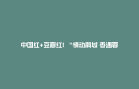 中国红+豆瓣红! “情动鹃城 香遇蓉城”鹃城公交车挑战赛启幕