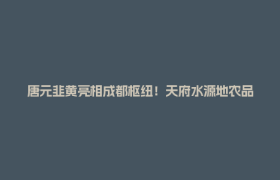 唐元韭黄亮相成都枢纽！天府水源地农品香飘四方